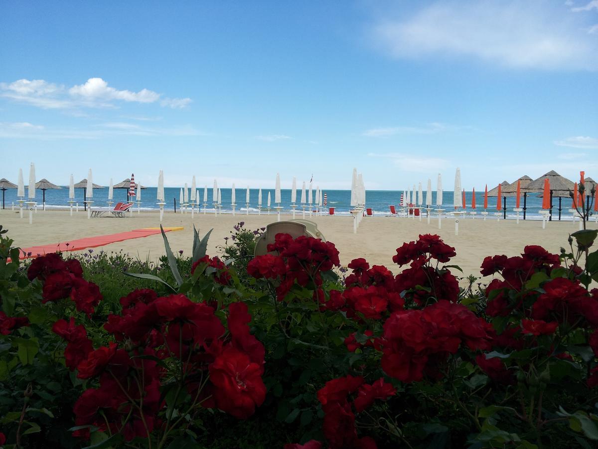 Hotel Silvi Silvi Marina Exterior photo